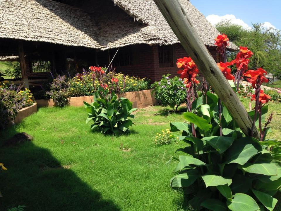 African Sunrise Lodge And Campsite Mto wa Mbu Zewnętrze zdjęcie